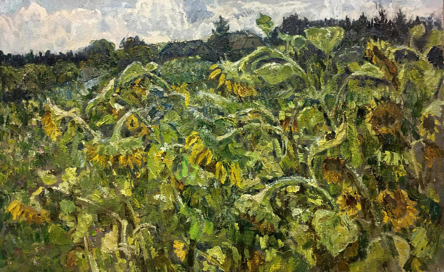 Oil painting Field of sunflowers Zvyagintsev Rostislav Mikhailovich