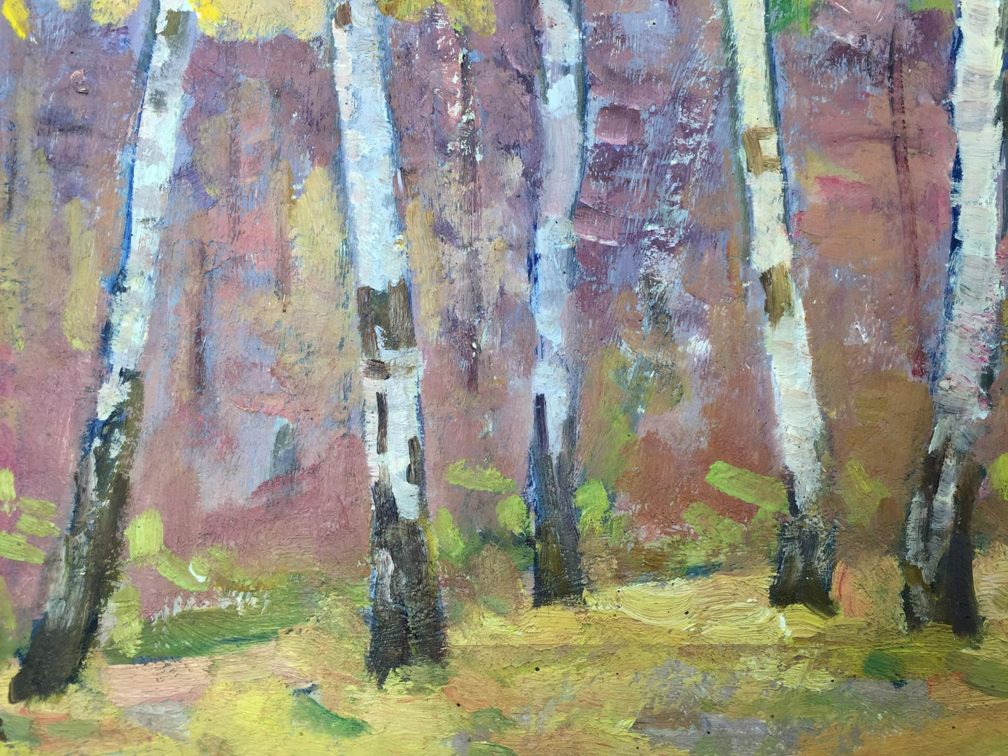 Oil painting Birch Grove Khrustalenko Nikolay Alexandrovich