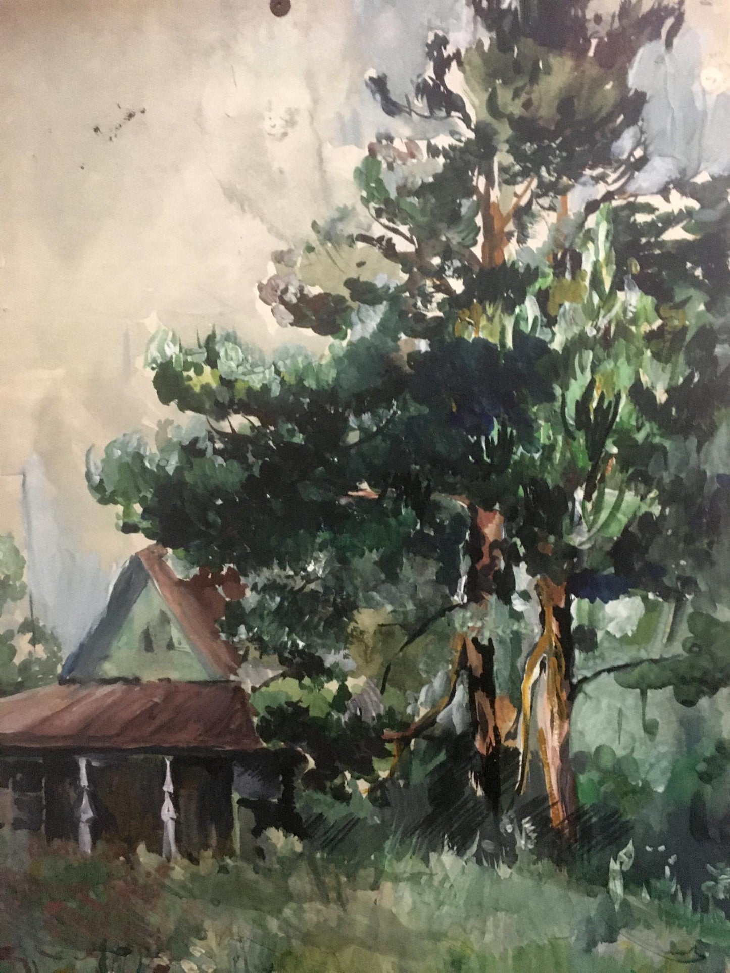 Watercolor painting House on the outskirts Palazhchenko Irina