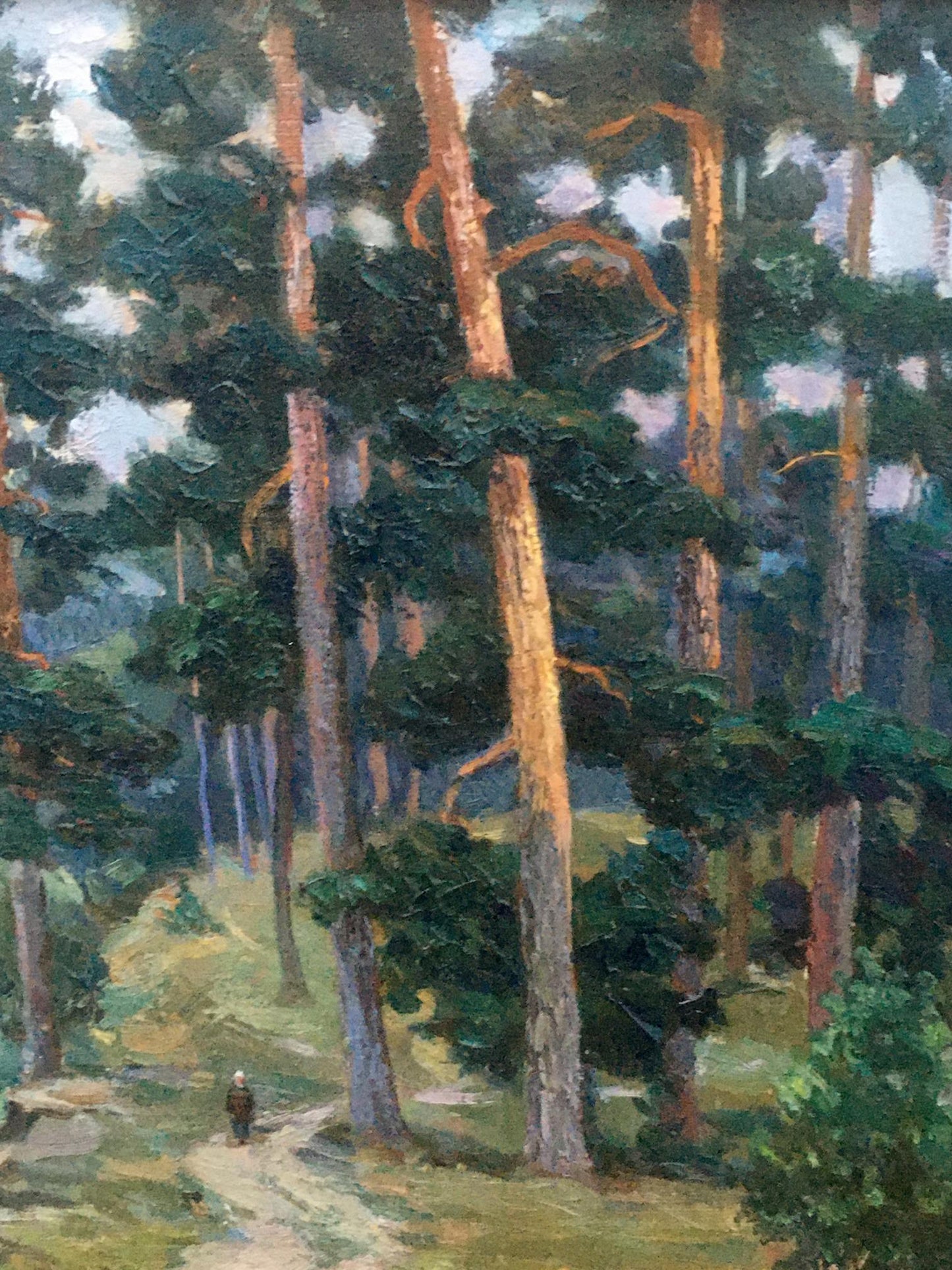 Oil painting Morning in a pine forest Pivtorak Sergey