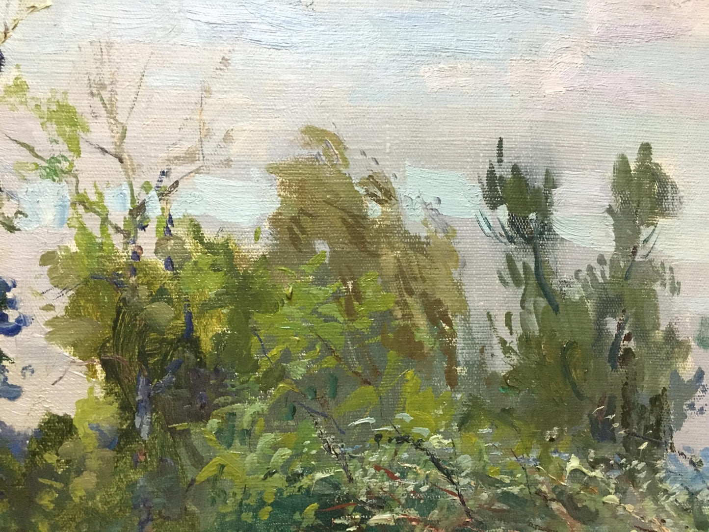Oil painting Landscape Glushchenko Nikolay Petrovich