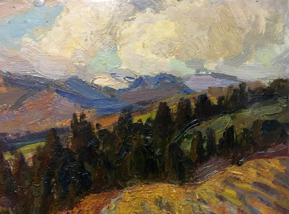 Oil painting Field Migulko Victor Vasilievich
