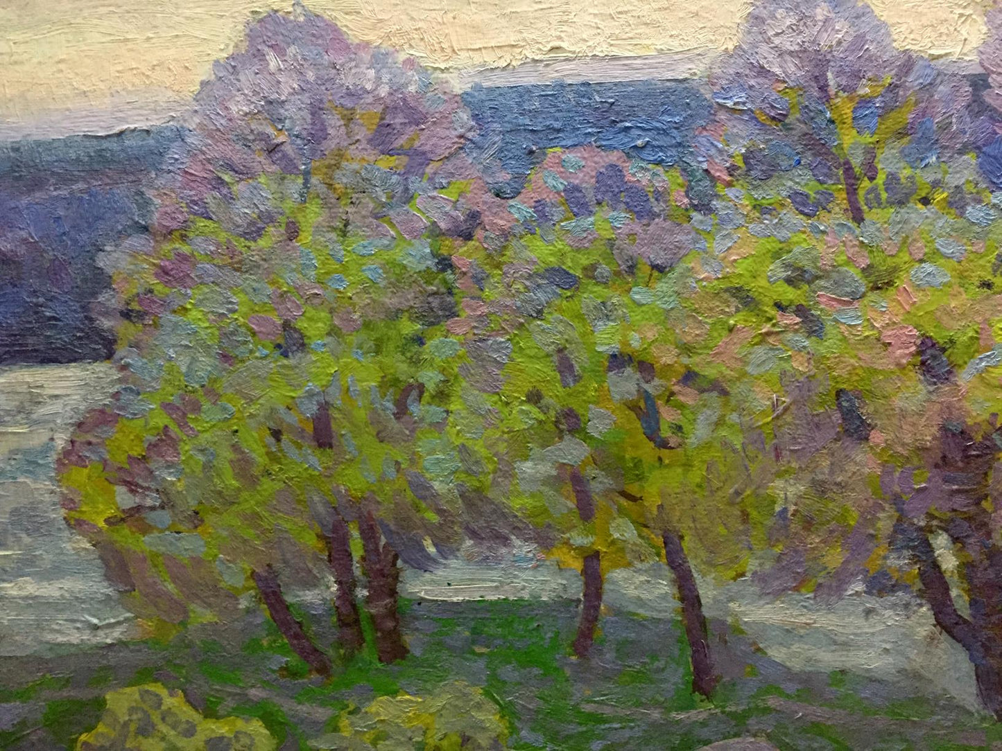 Oil painting Spring in the Kherson region Grigory Savelievich Ruban