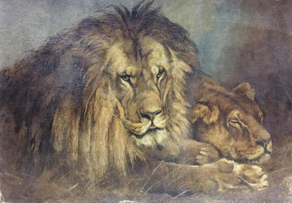 Oil painting Portrait of a lion