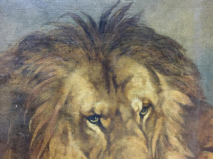 Oil painting Portrait of a lion