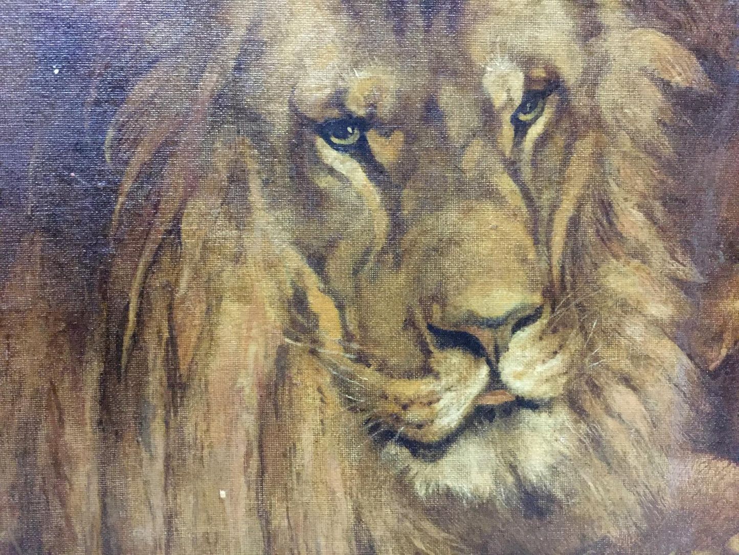 Oil painting Portrait of a lion