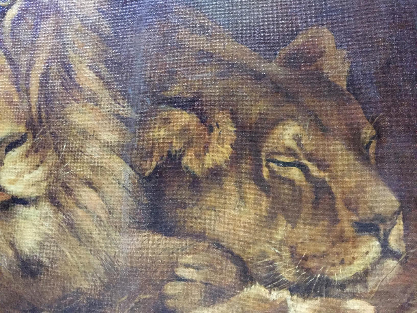 Oil painting Portrait of a lion