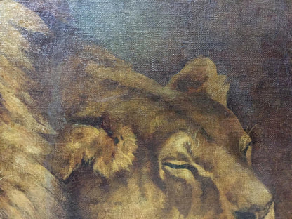 Oil painting Portrait of a lion