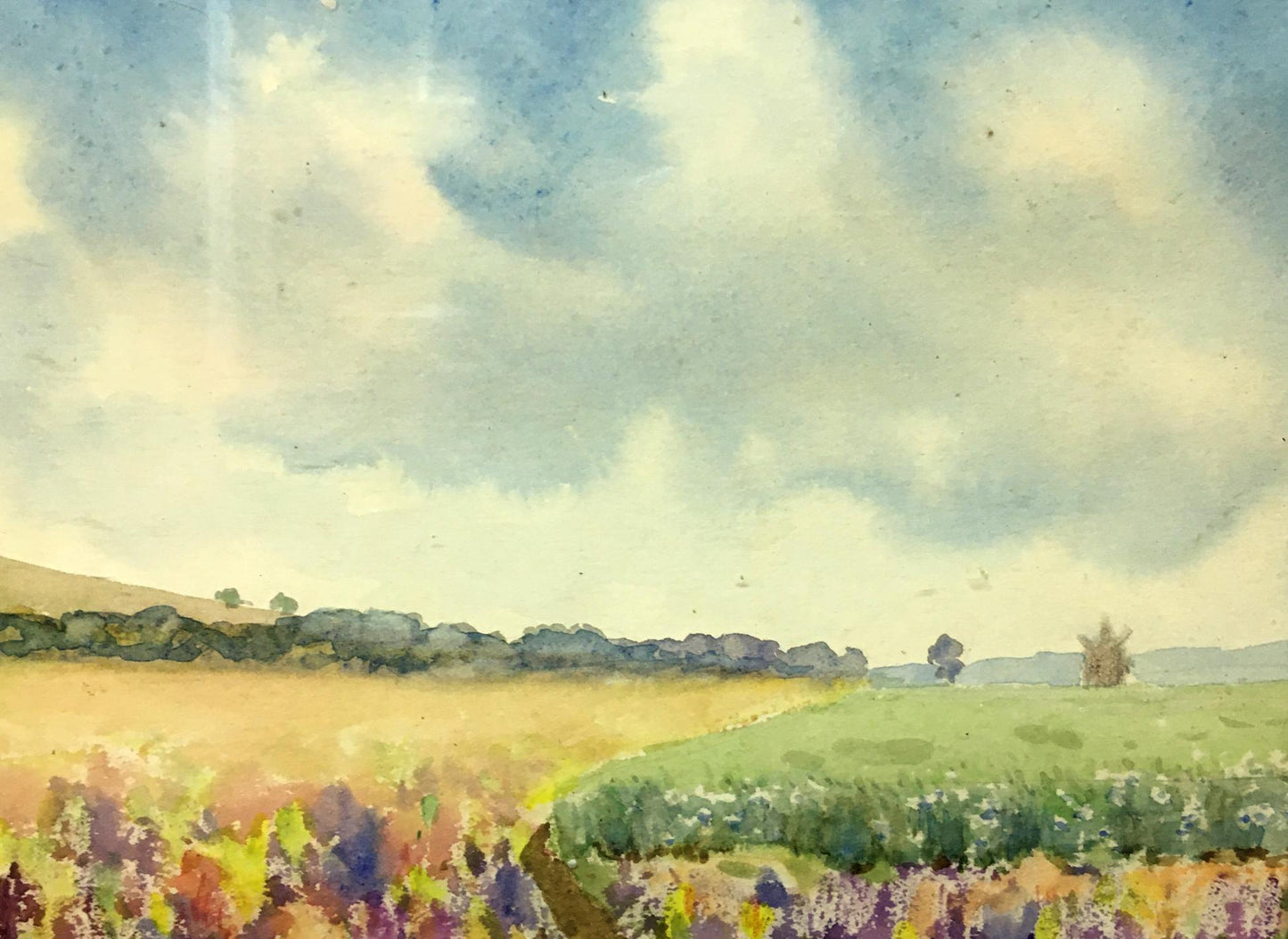 Watercolor painting Fields Tsyupka Ivan Kirillovich