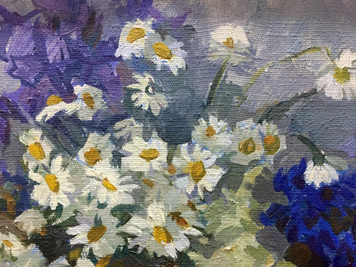 Oil painting Camomile Yukhno-Gurevich Anna Meerovna