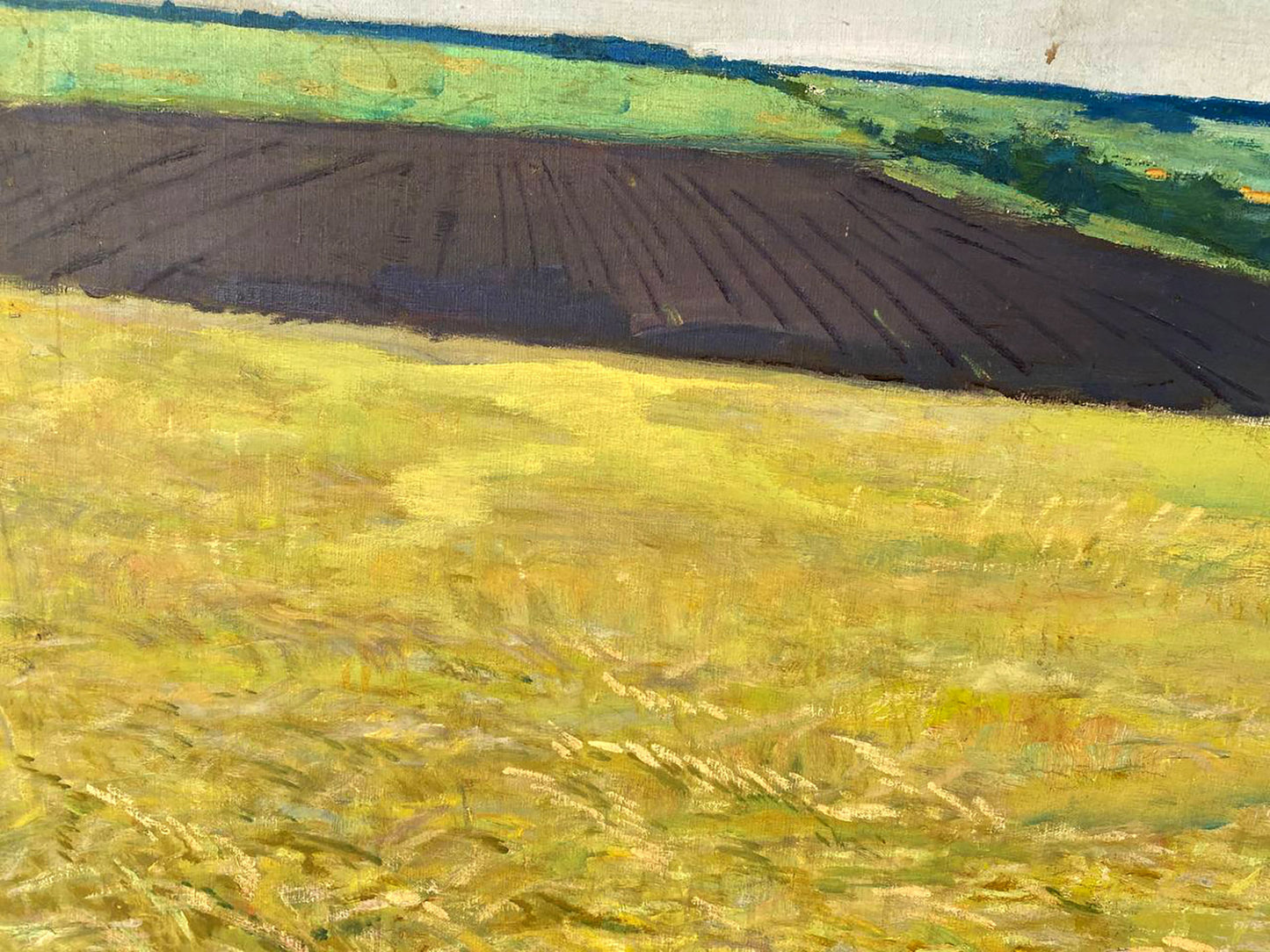 Oil painting Ukrainian fields Pavlyuk Nikolay Artemovich