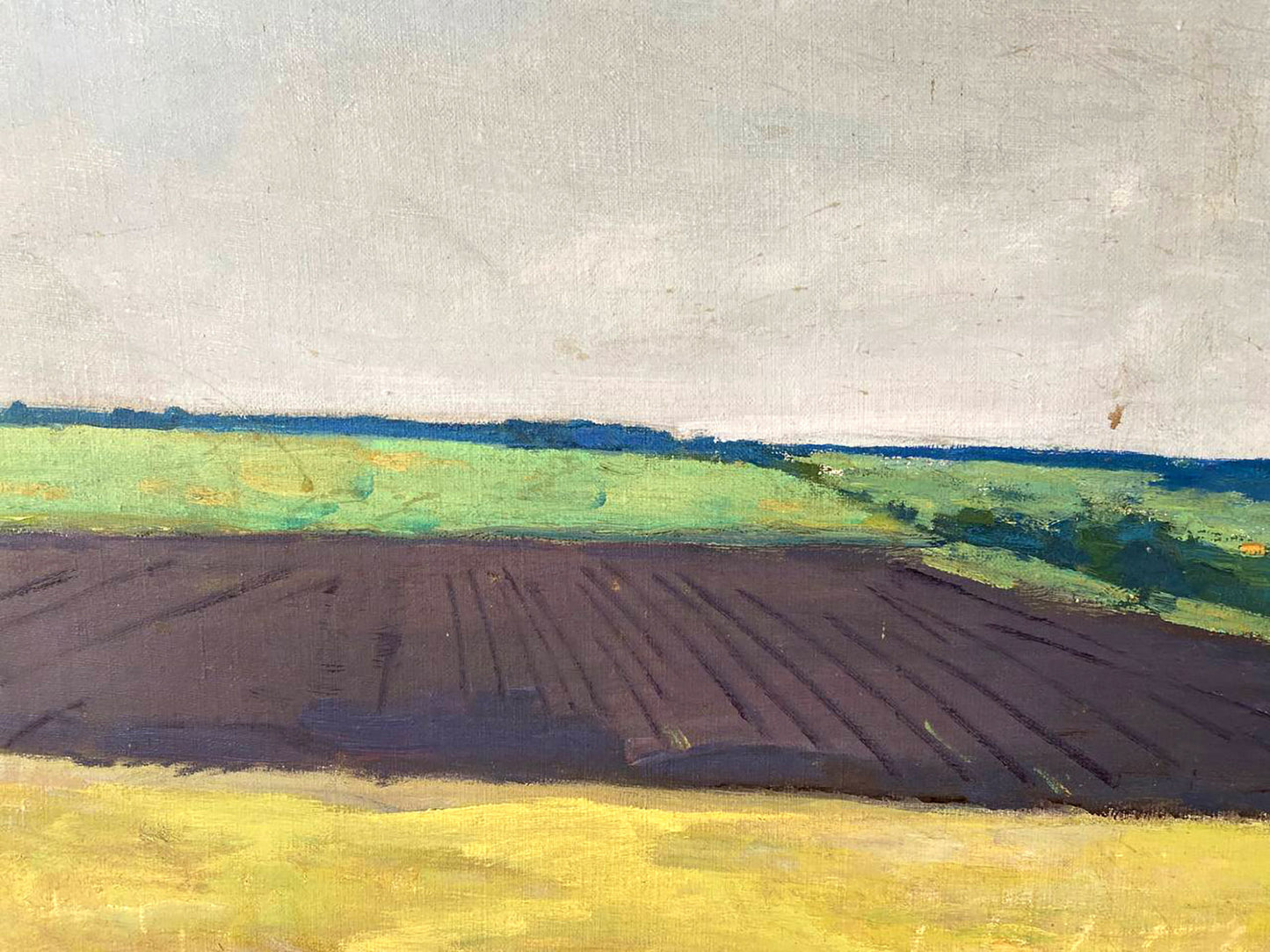 Oil painting Ukrainian fields Pavlyuk Nikolay Artemovich