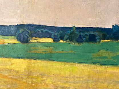 Oil painting Ukrainian fields Pavlyuk Nikolay Artemovich